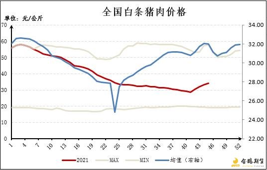 全国白条猪肉价格